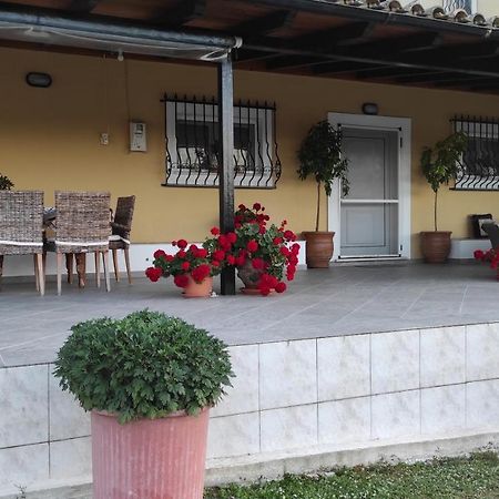 VátosErmones Little House公寓 外观 照片